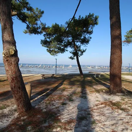 A 300m De La Plage, Maison Pour 7 Avec Piscine Ferienhaus Lanton