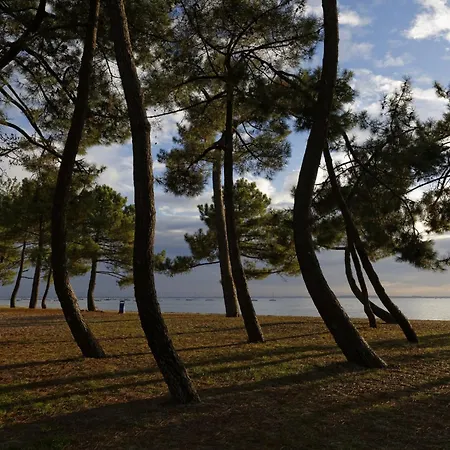 A 300m De La Plage, Maison Pour 7 Avec Piscine Ferienhaus